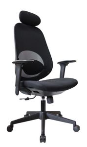 Mesh Chair RJ-4503