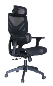 Mesh Chair RJ-601